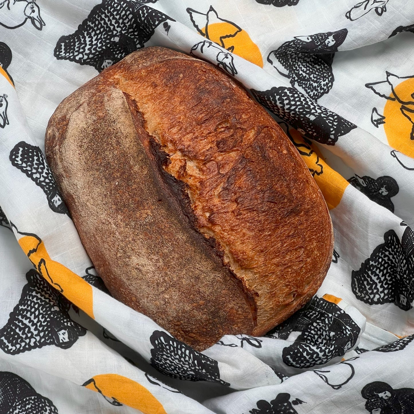 Bread Blanket | Hurricane Helene Recovery Edition | Andréa Keys Connel