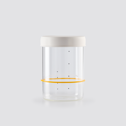 Essential Bundle - Goldie + Starter Jar